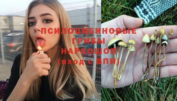 МДПВ Карпинск