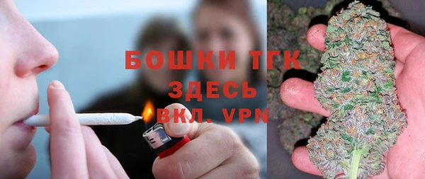 МДПВ Карпинск